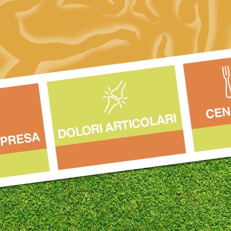 i dolori articolari