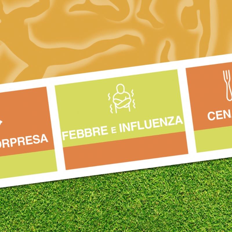febbre e influenza