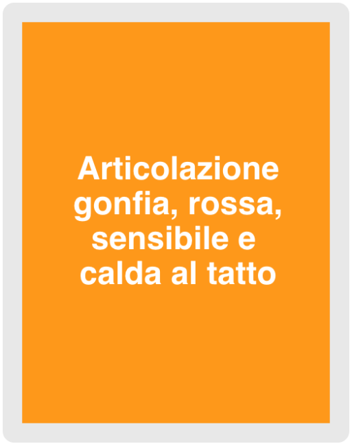 articolazione gonfia, rossa, sensibile, calda al tatto;